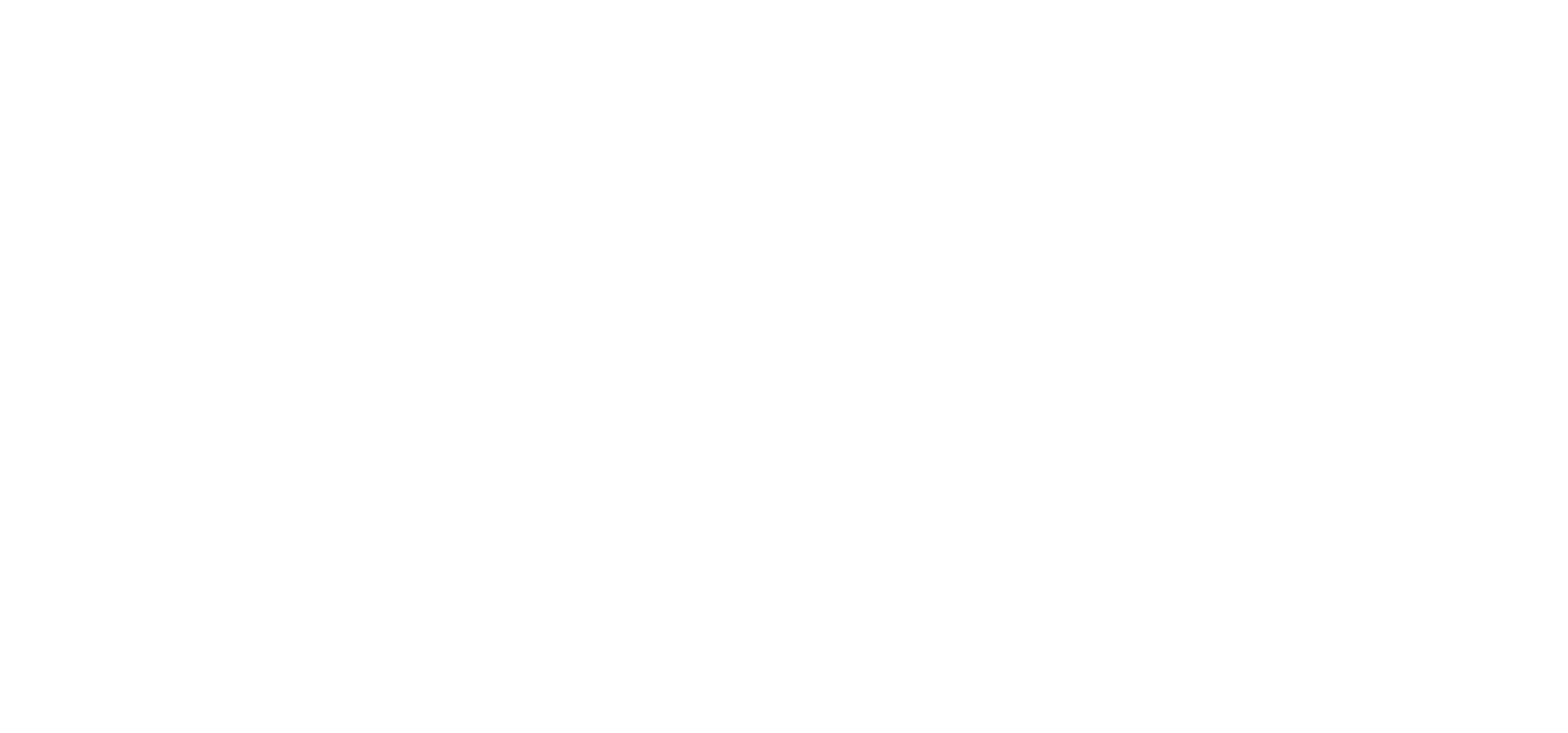 Logo White