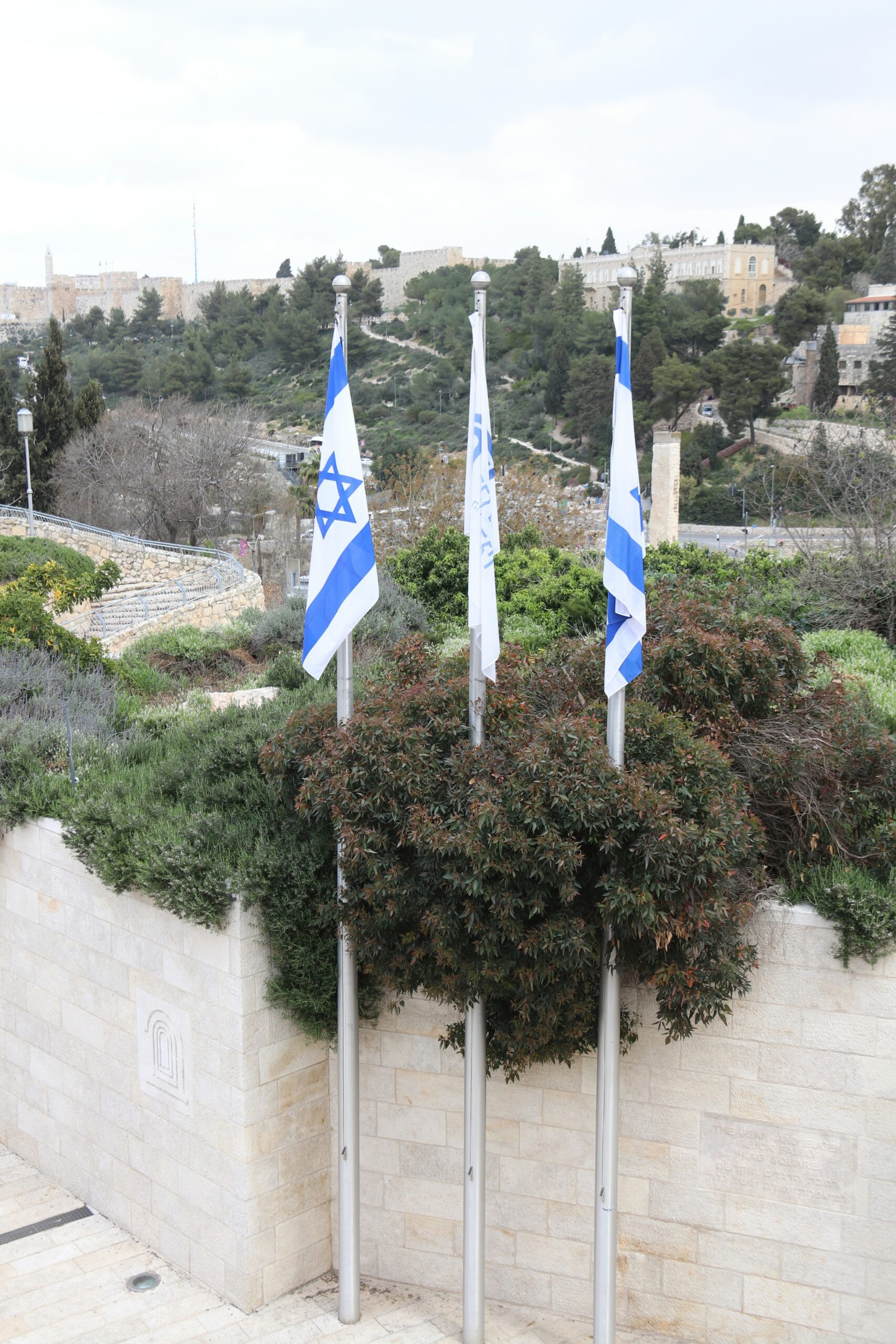 הממשלה