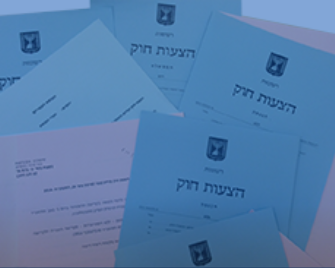 חקיקה פרטית כבזבוז תשומות